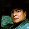 26 icons Wolfs a Jacob Twilight